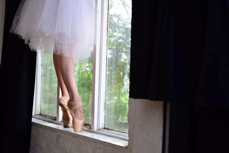 Image by Tania Cordeiro'